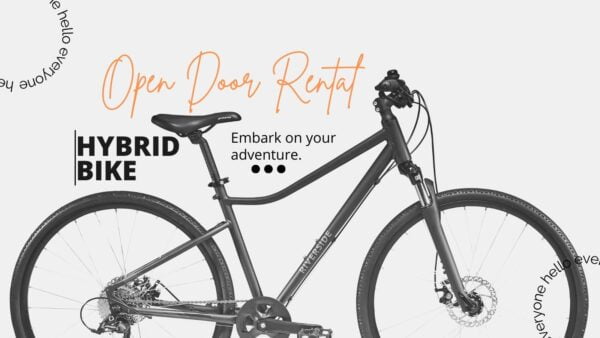 Trek Bike Rental